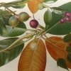 Painting of figs and berries 